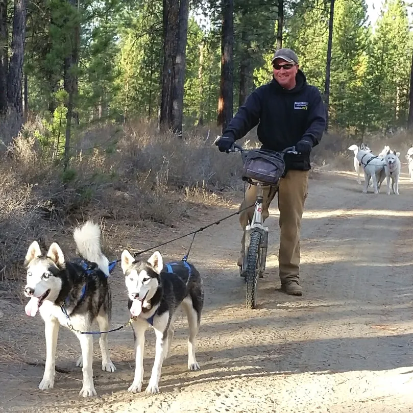 Double Scooter / Bikejor Line