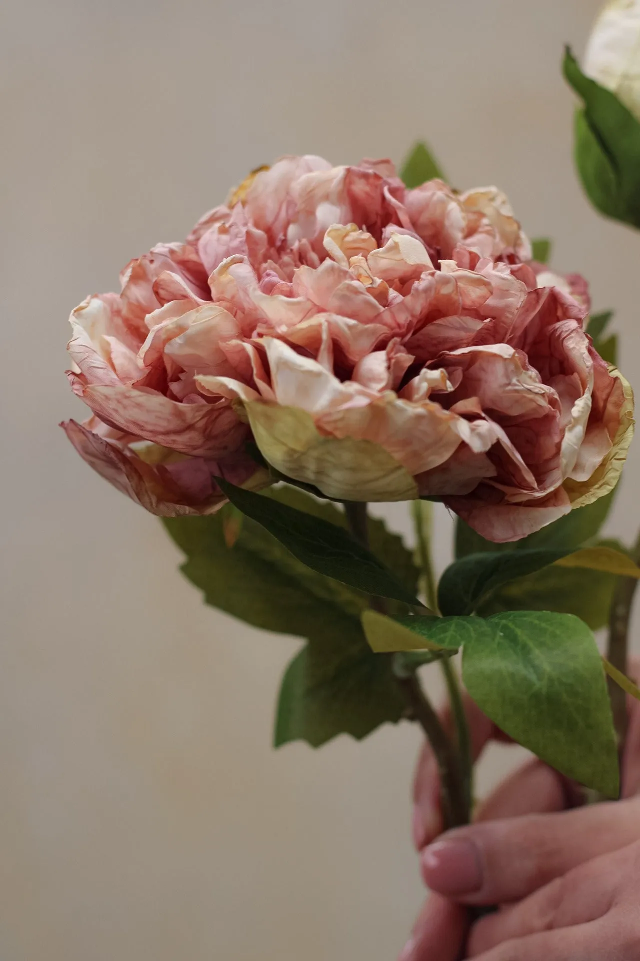 Faux Dried Touch Blush Pink Peony Stem