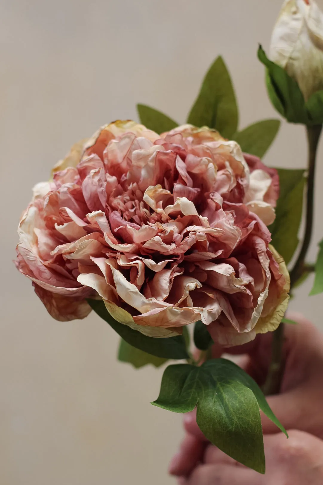 Faux Dried Touch Blush Pink Peony Stem