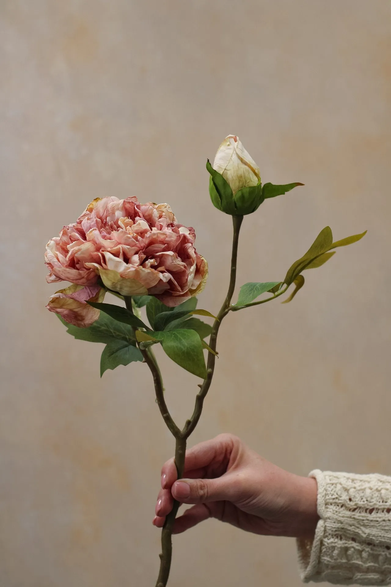 Faux Dried Touch Blush Pink Peony Stem