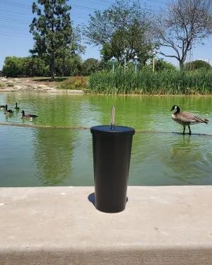 Matte Black Stainless Steel Tumbler - 16.9 oz